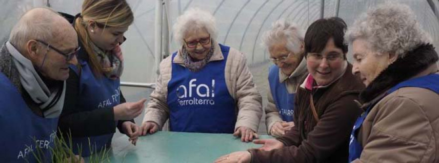 Los mayores de AFAL participan en una plantación en Covas Vegetal