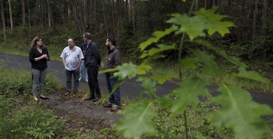 El asesoramiento forestal de Terra Rendible avanza en fincas de Narón
