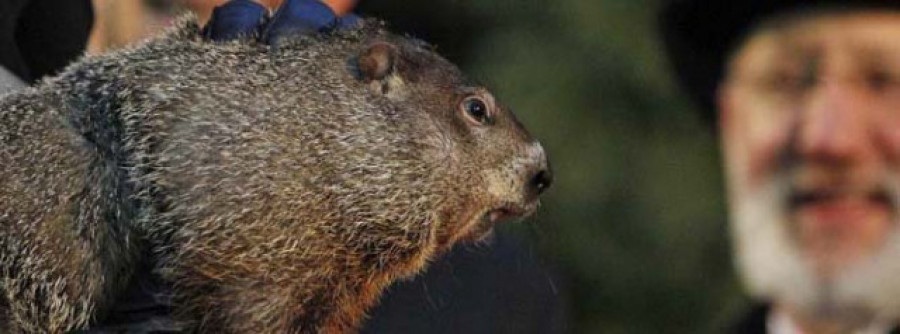 La marmota Phil pronostica seis semanas más de invierno