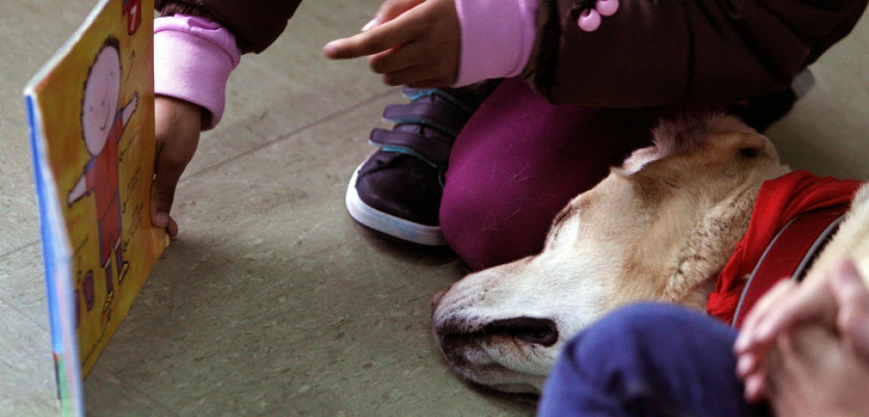 Leer cuentos a perros, terapia para los más peq ueños