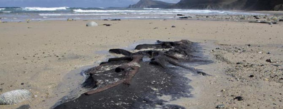 Reaparecen en el arenal de Ponzos los restos del bosque fósil descubierto en 2009