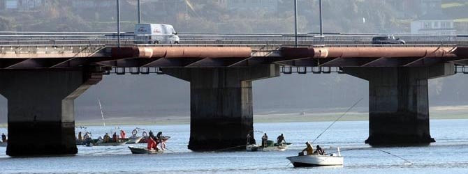 La extracción de almeja en la ría se recupera tras una década de caída