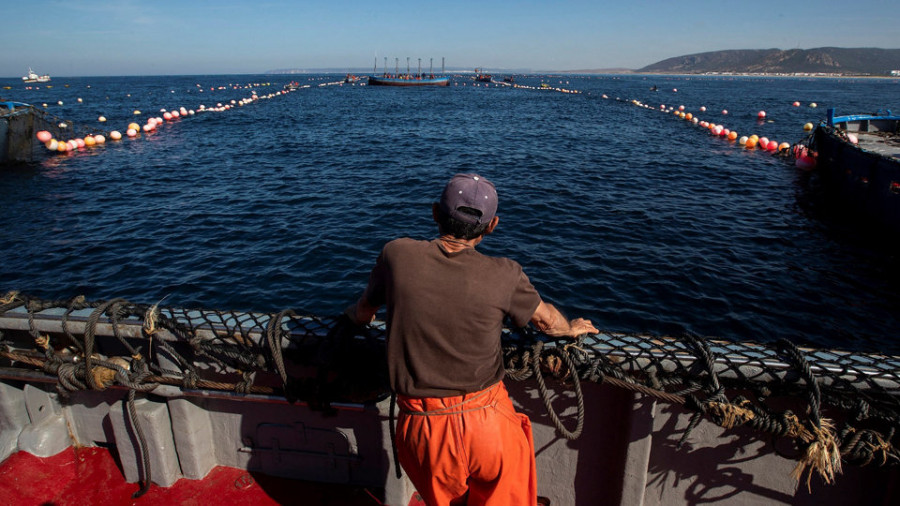 El sector pesquero expresa “alivio” al poder volver a faenar en Marruecos