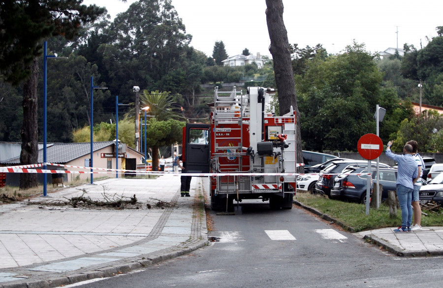 Fallece una pontesa en Cabanas tras caerle encima la rama de un árbol