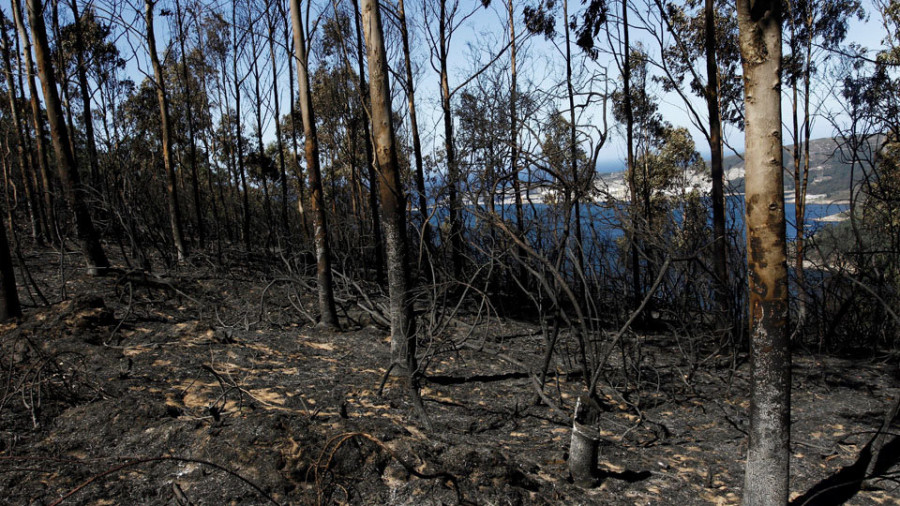 Controlado de madrugada el incendio de Montefaro tras calcinar unas 16 hectáreas