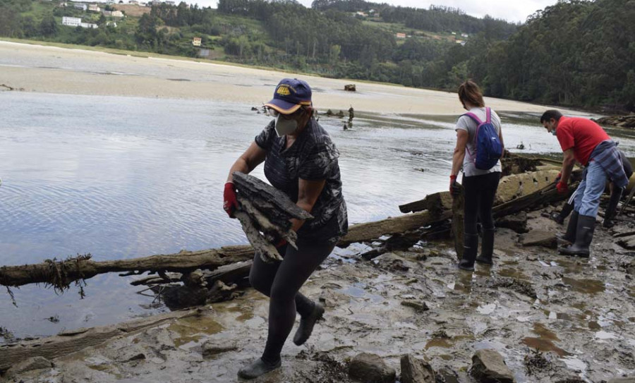 Mariscadoras de Cedeira y Valdoviño recuperan los bancos de la zona