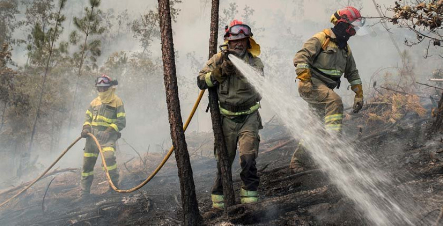 La Xunta aportará ocho millones para ayudar a los ayuntamientos a limpiar las franjas contra los incendios