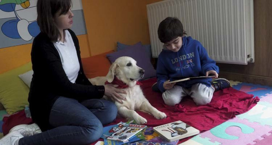 El CPR Jorge Juan de Perlío pone en marcha terapias con perros para niños con dificultades