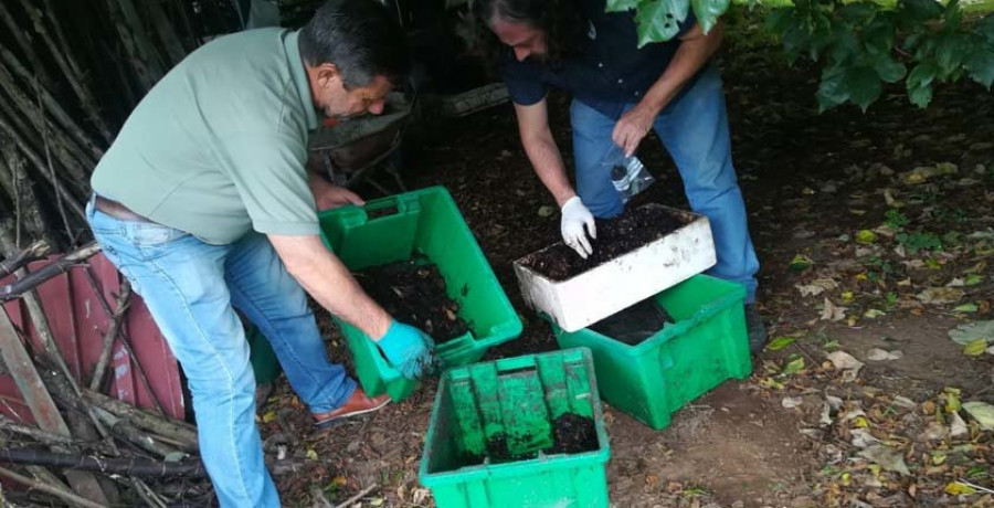 As Pontes encara la recta final del programa “Compost na Casa”