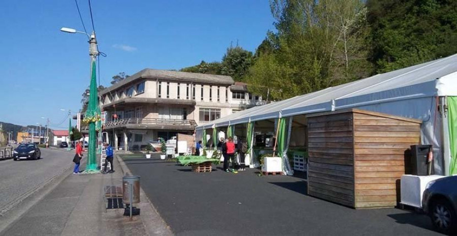 La Festa da Merluza de Cedeira comienza hoy con talleres, exposiciones y rutas guiadas