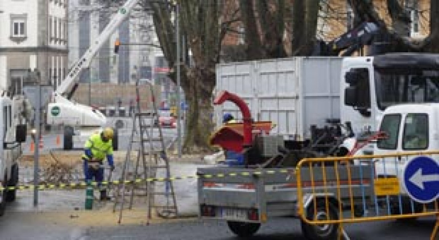 El Concello sustituye acacias por laureles en Ultramar dentro del plan de mejora del arbolado