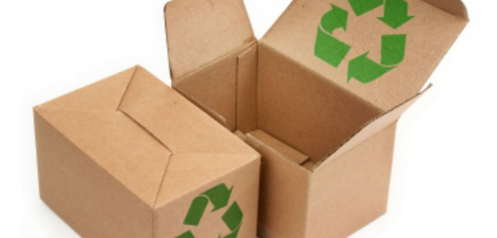 Las empresas y su apuesta por la sostenibilidad ambiental