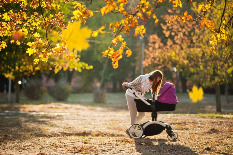 5 consejos para elegir la mejor silla de paseo