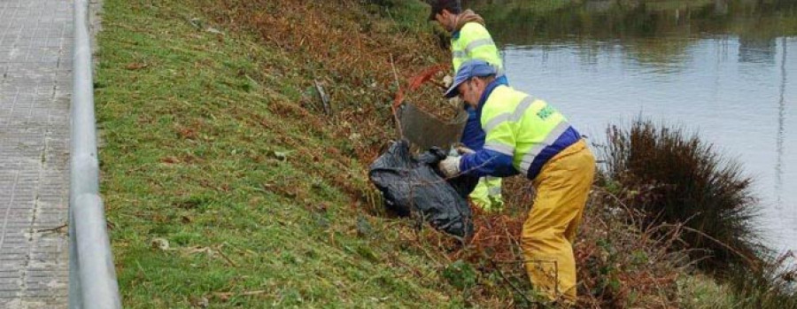 Nueva limpieza del río Sardiña, esta por parte del Concello