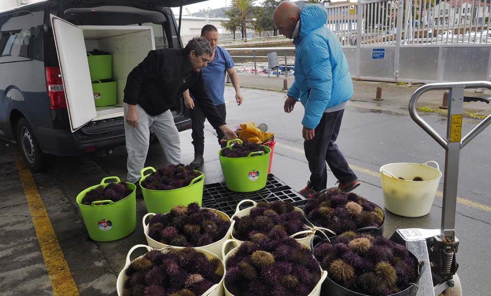 El sector marisquero de la ría agrava su crisis al quedarse sin compradores