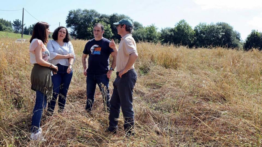 La Xunta analiza la eficacia de las jaulas trampa para el control del jabalí