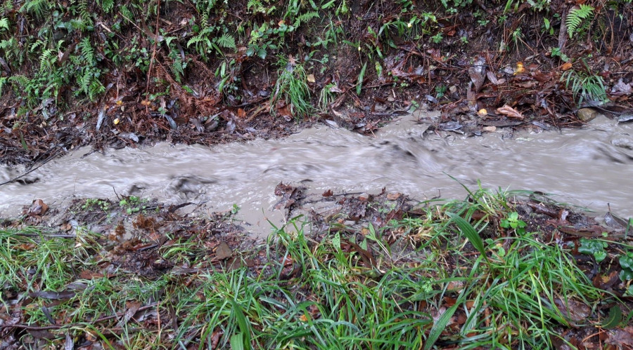 El Seprona investiga un nuevo vertido de la planta Xiloga en la zona de Vilar da Fraga