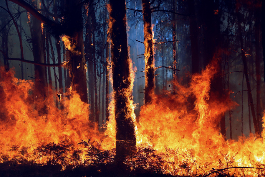 Varios sospechosos en los fuegos que queman más de 1.000 hectáreas en Galicia