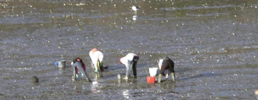 Las mariscadoras a pie admiten indefensión ante un perfil de furtivo más violento