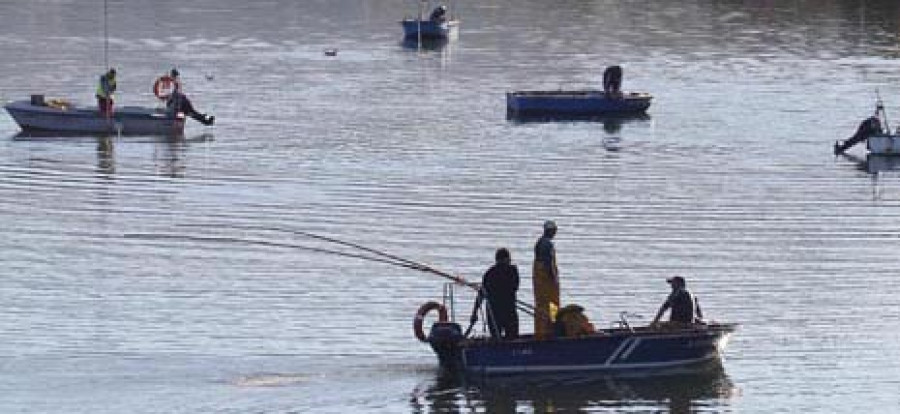 La Xunta cambia de C a B tres zonas de marisqueo de  la Cofradía eumesa