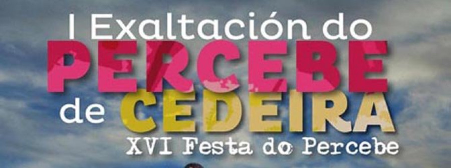 Cursos de cociña, obradoiros, rock e proxeccións na Festa de Exaltación do Percebe de Cedeira