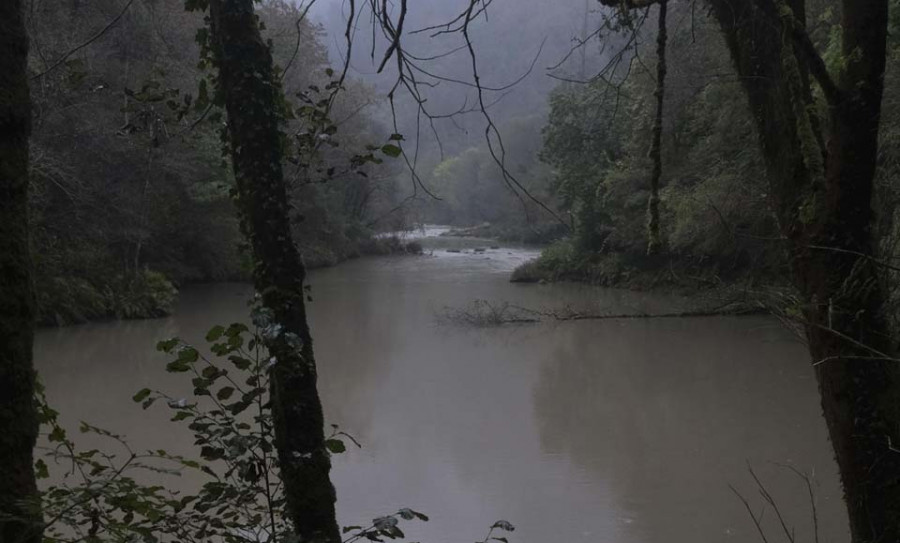 Augas de Galicia cree que desmantelar la central de As Pontes puede afectar a los ríos de la zona