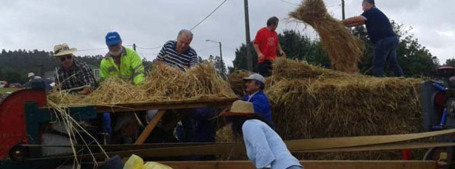 La Festa da Malla Tradicional en Os Casas congregó a un millar de asistentes