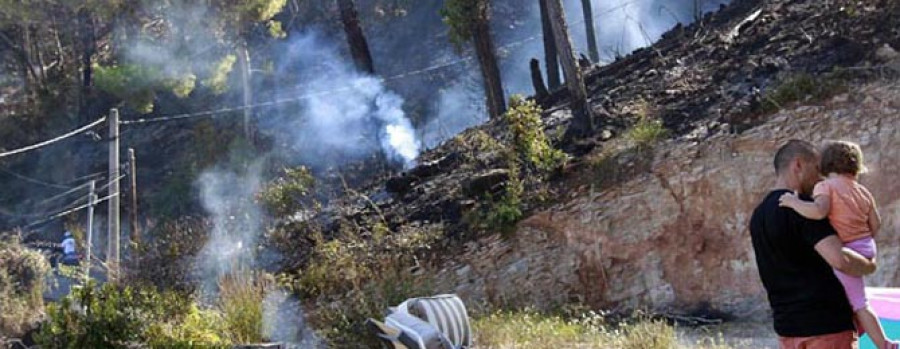 Se declara un incendio forestal en un pinar de Las Rozas