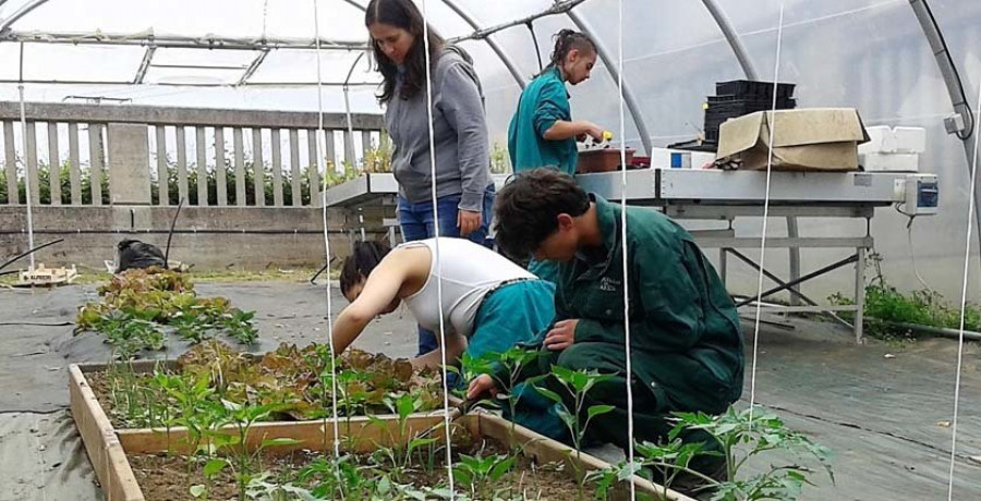 Los alumnos del FP de agrojardinería de Mugardos afrontan sus prácticas