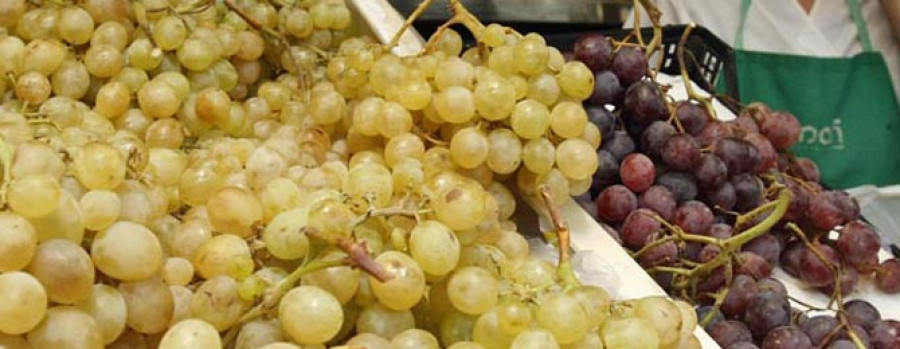 Monterrei muestra el proceso del vino, desde el pisado de la uva al mosto