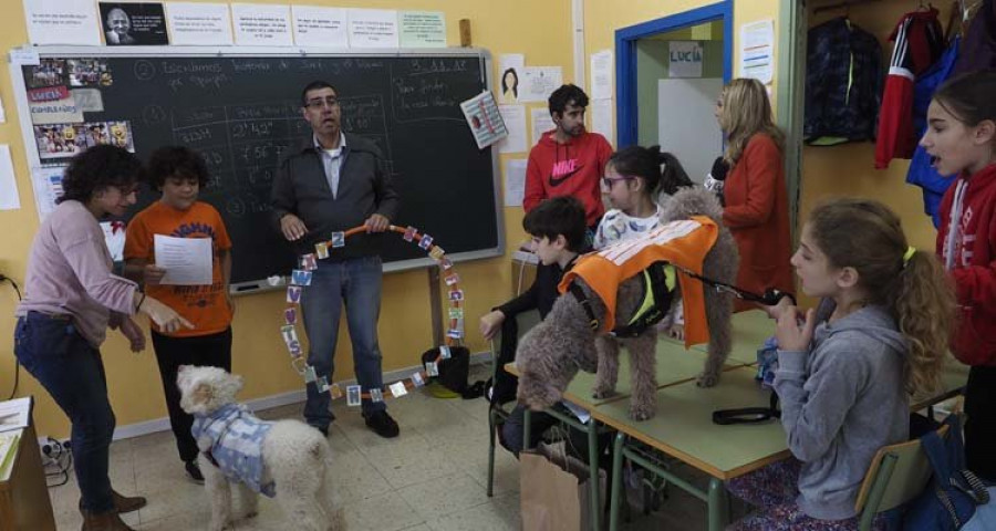 Los mejores amigos del hombre toman las aulas