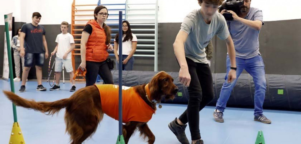 Impulsan la terapia con perros para prevenir el acoso escolar