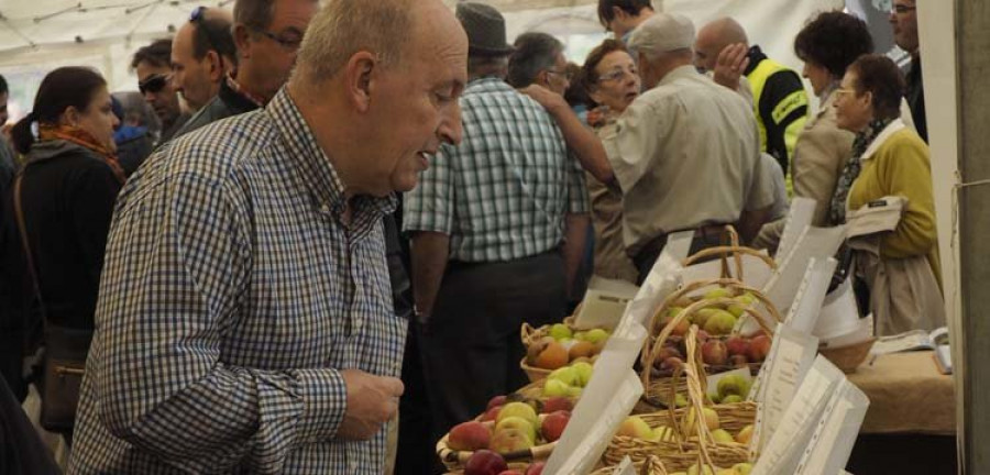 AGFA do Eume promociona la fruta de A Cortiña por toda la provincia