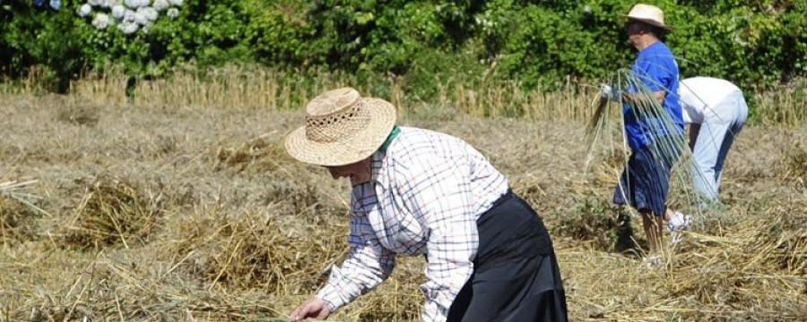 Esmelle recreará esta tarde o tradicional proceso da malla