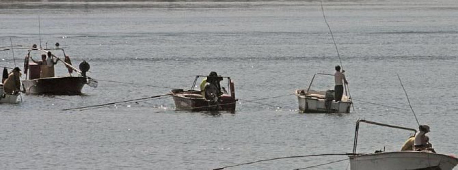 La cofradía de Ferrol ocupa el 15º puesto  en número de socios