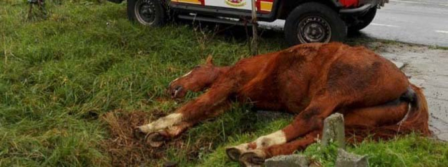 Una mujer arrolla con su coche a un caballo en O Val