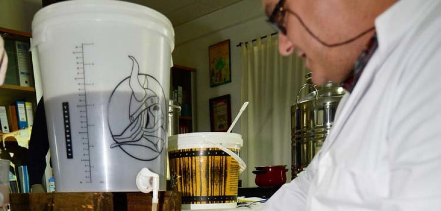 Un taller de elaboración de cerveza de miel abrió las Xornadas Apícolas do Eume