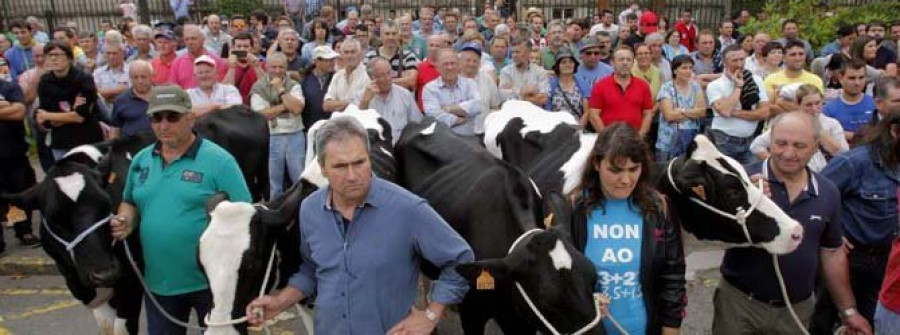 Miles de ganaderos exigen una solución definitiva para los precios de la leche