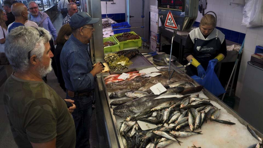 Sardinas a precios asequibles para celebrar el San Xoán