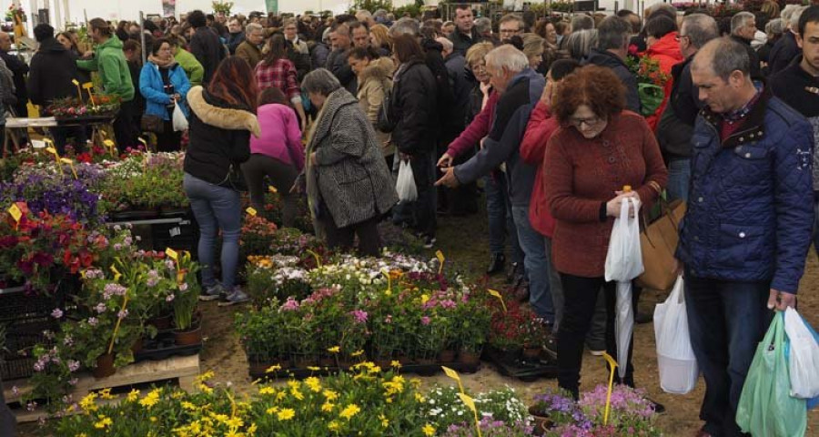 Miles de visitantes desafían al mal tiempo en la Feira da Plantación de San Sadurniño