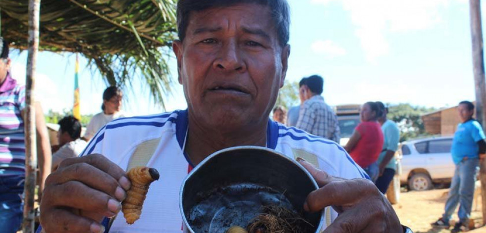 Larvas y hormigas, secretos culinarios de Bolivia
