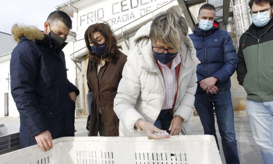 La fábrica de hielo del pósito cedeirés verá reducido su consumo energético