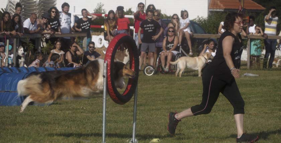 Las mascotas sirven de teloneras para el pistoletazo de salida de Equiocio