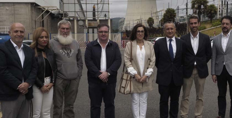 Los parlamentarios gallegos examinan la reducción de emisiones de As Pontes