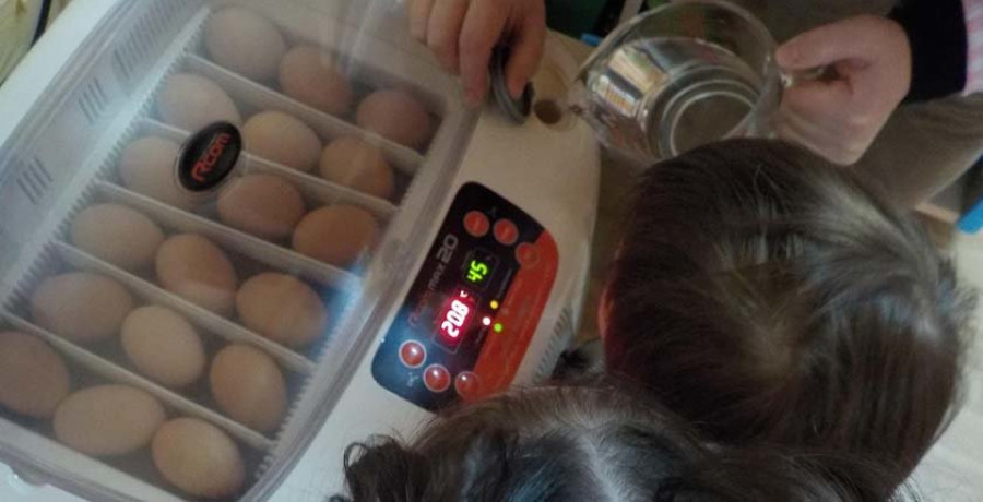 Los niños del PAI de Valdoviño participan en un proyecto de conservación de la galiña de Mós
