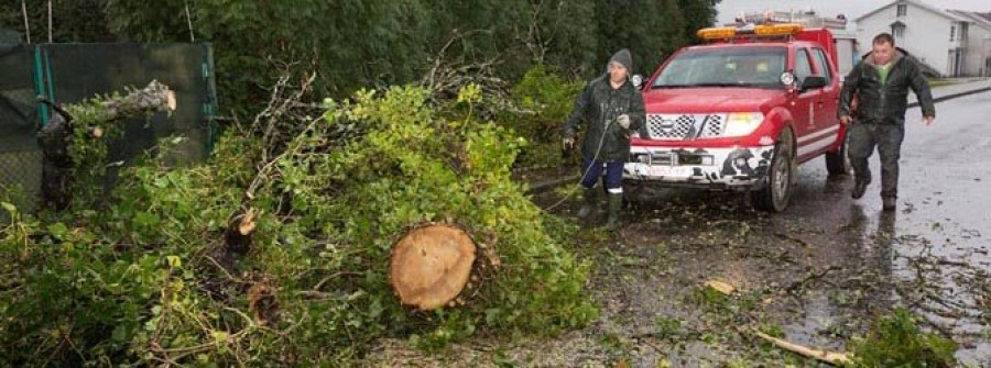 El primer temporal del año dejó varias inundaciones y la caída de árboles