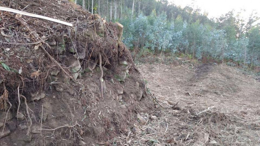 Las entidades de defensa del patrimonio, preocupadas por daños en los castros