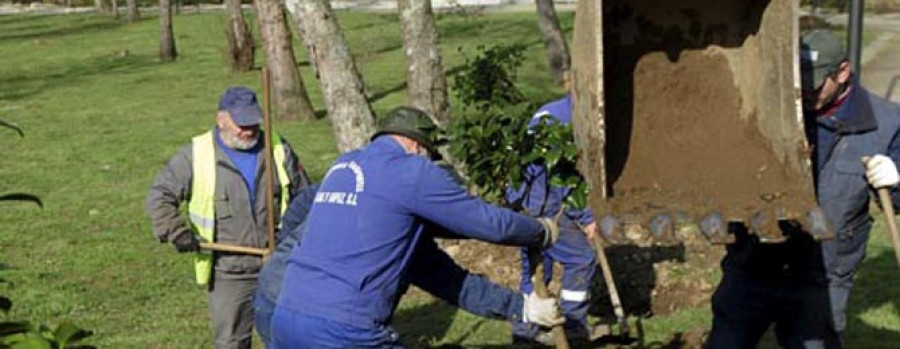 NARÓN - El Concello adjudica a Jardinería Arce el servicio de mantenimiento