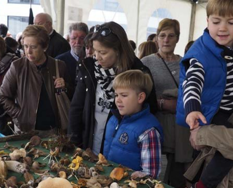 Récord de afluencia de público en la edición de la Feira de Fungos e Cogomelos das Pontes