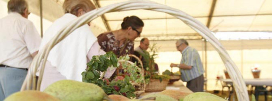 A Feira Rural de San Sadurniño terá máis expositores e amplía espazos